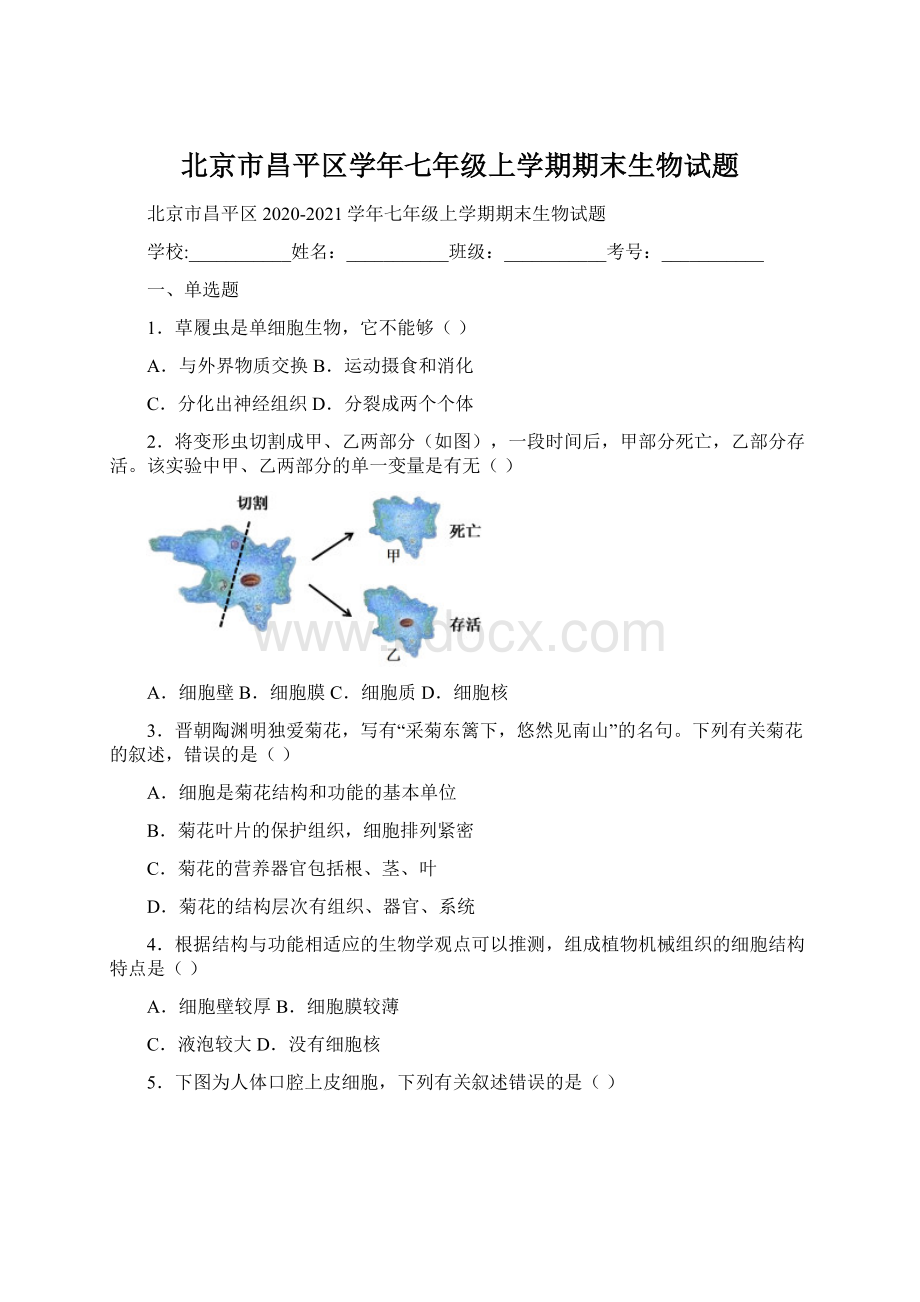 北京市昌平区学年七年级上学期期末生物试题.docx_第1页