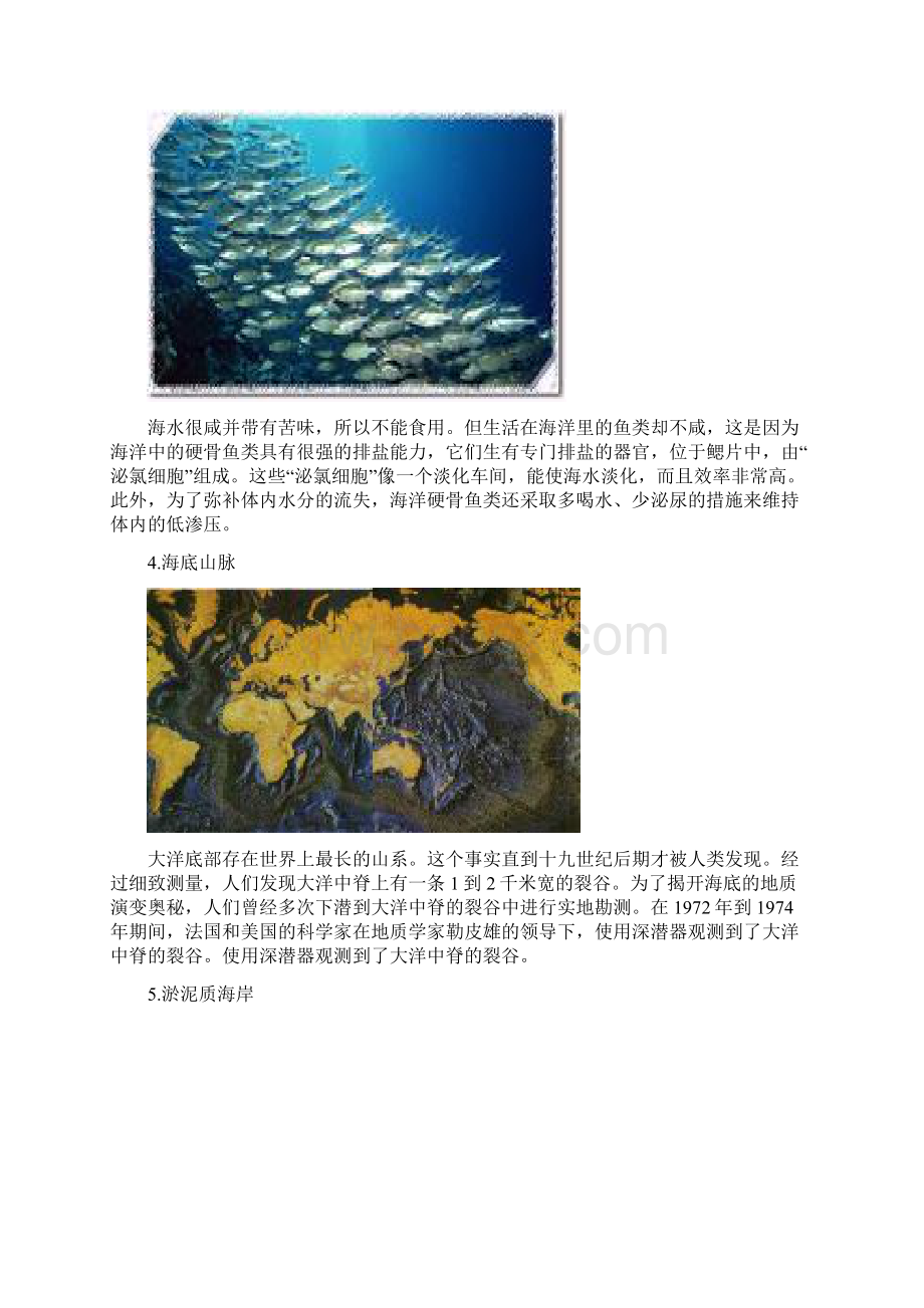 海洋科普知识.docx_第2页