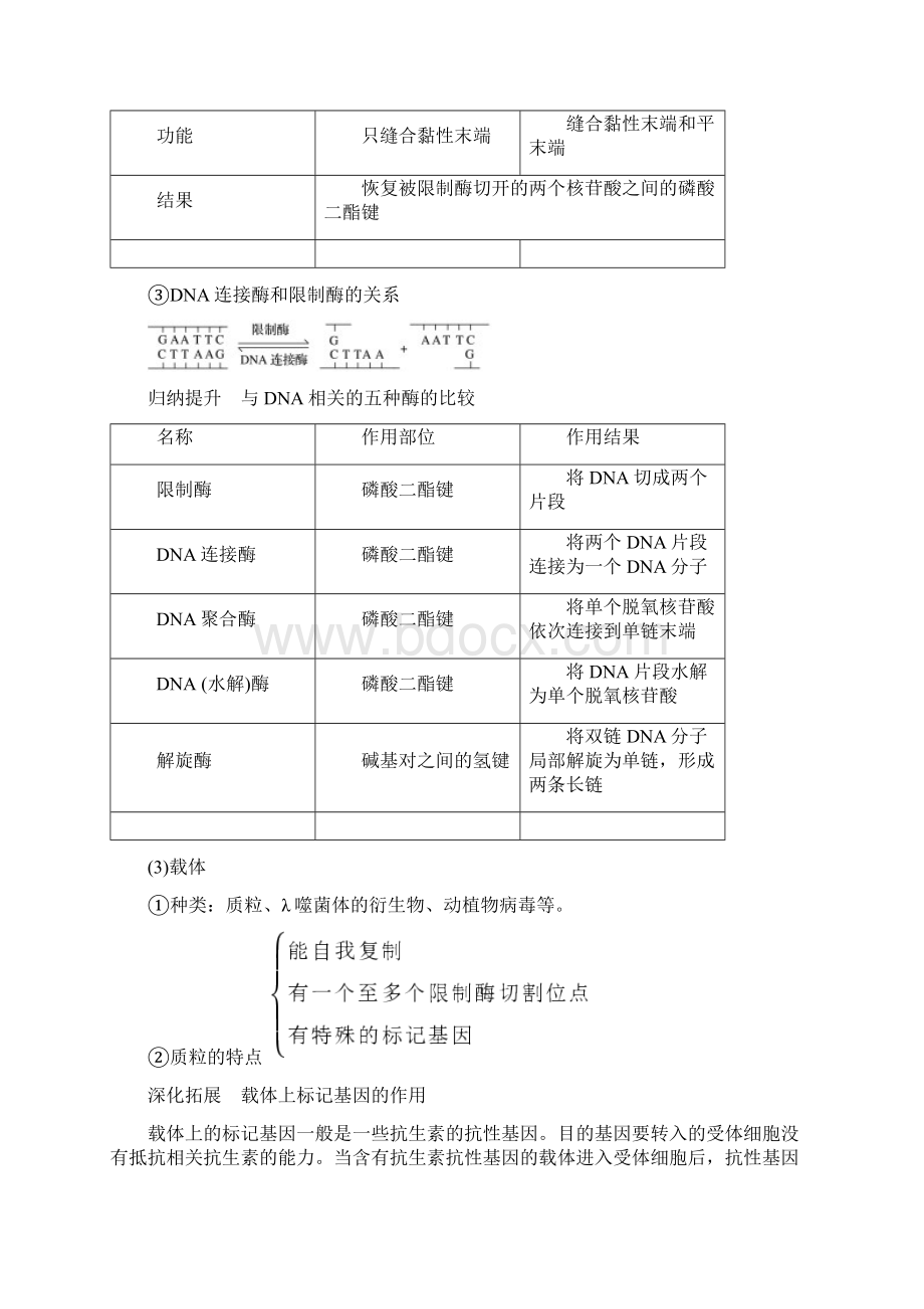 高考生物一轮复习第十单元现代生物科技专题基因工程学案Word文档下载推荐.docx_第2页