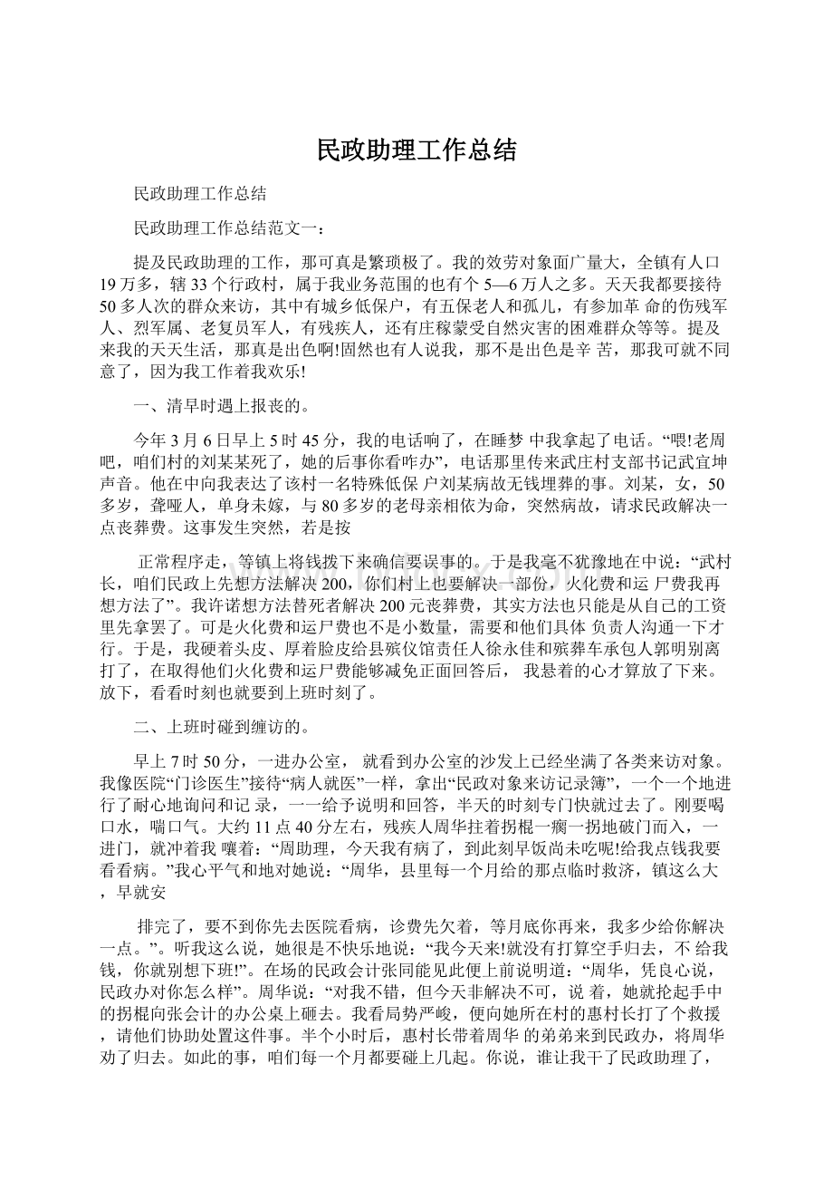 民政助理工作总结Word文档格式.docx