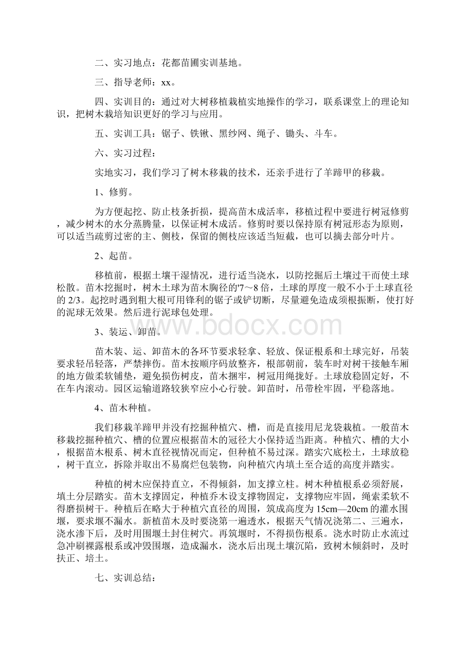 树木移栽的实训报告.docx_第3页