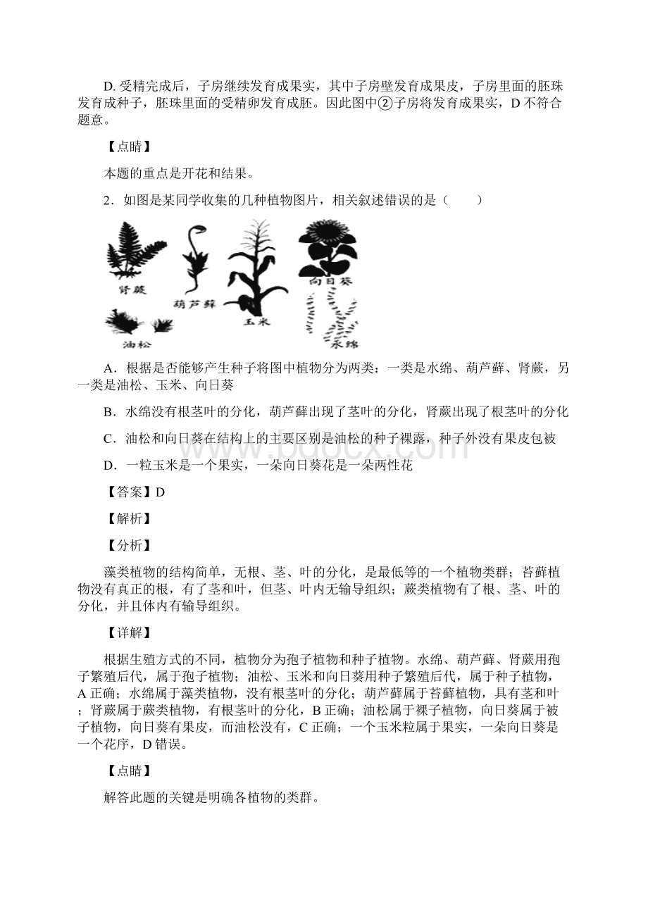 人教版初中生物第三单元《生物圈中的绿色植物》复习知识点.docx_第2页