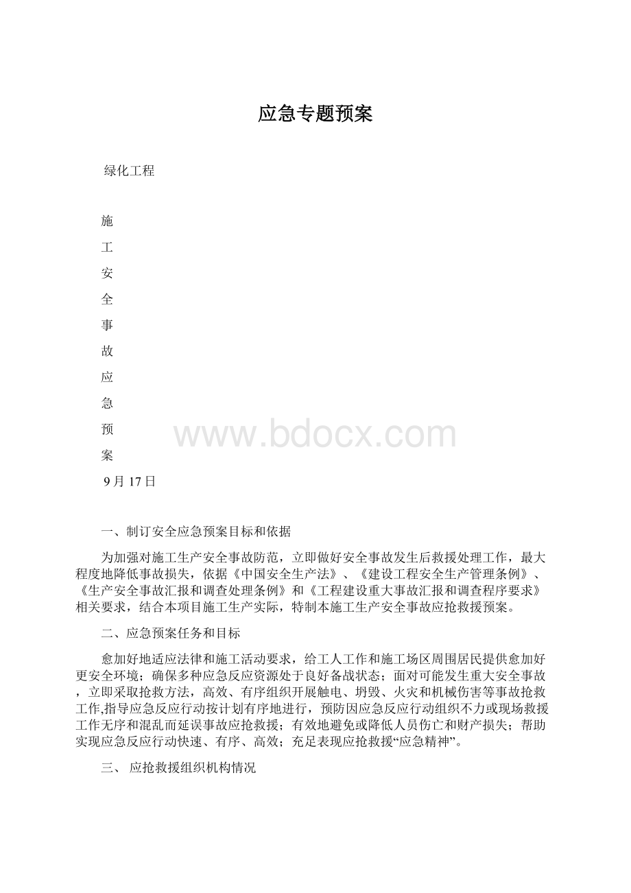 应急专题预案Word格式.docx