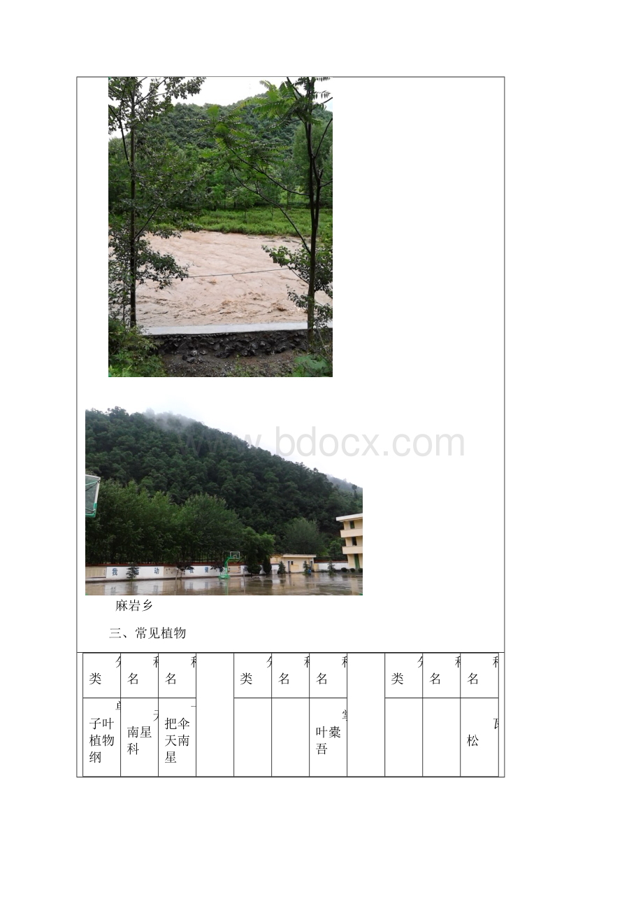 药用植物学野外见习报告.docx_第2页