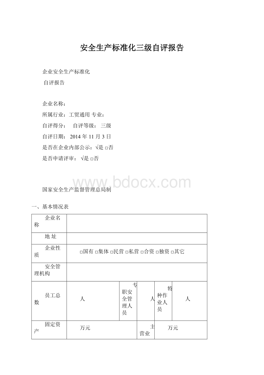 安全生产标准化三级自评报告Word文档格式.docx