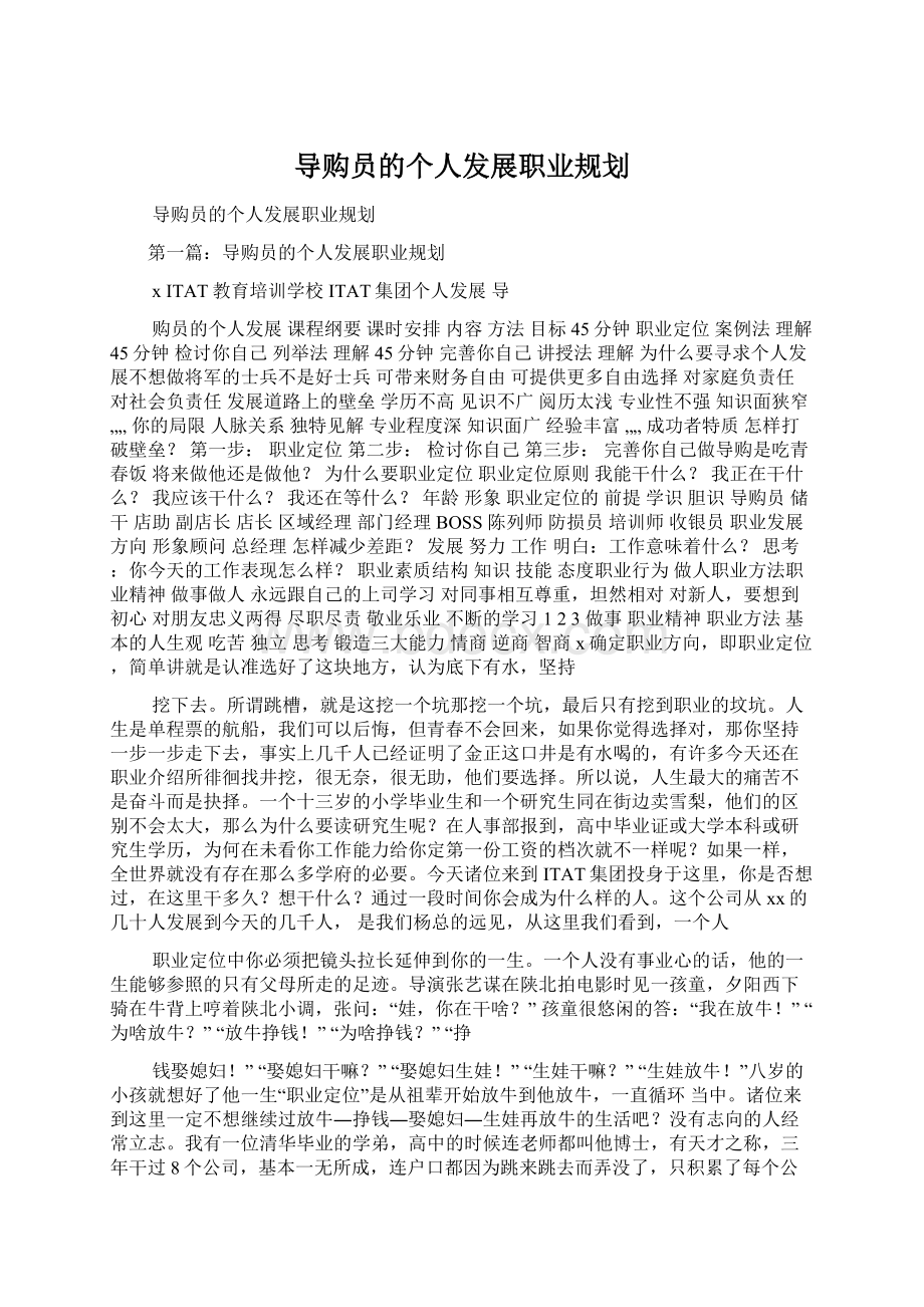 导购员的个人发展职业规划文档格式.docx