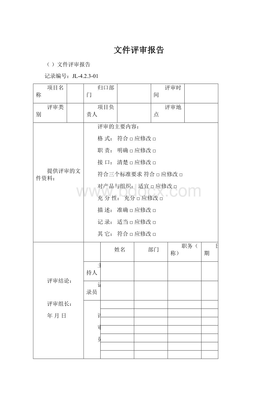 文件评审报告Word文档格式.docx