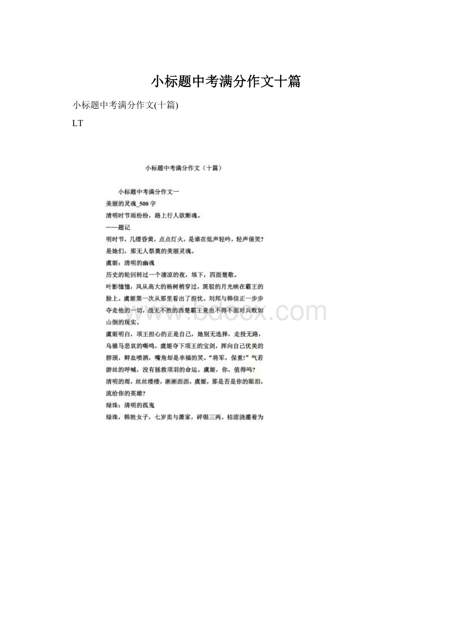 小标题中考满分作文十篇Word格式.docx_第1页