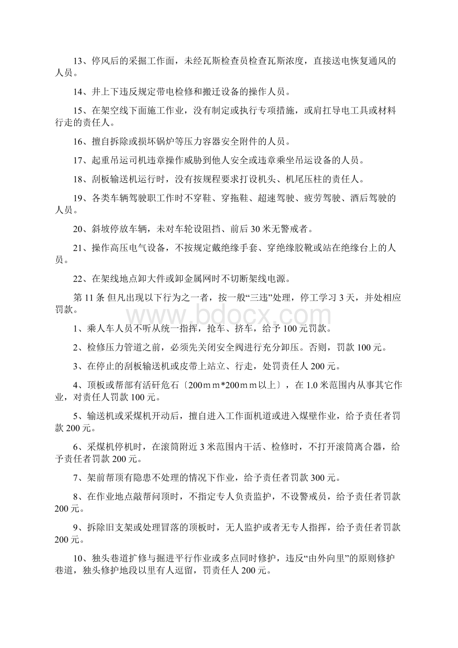 安全处罚实施细则.docx_第3页