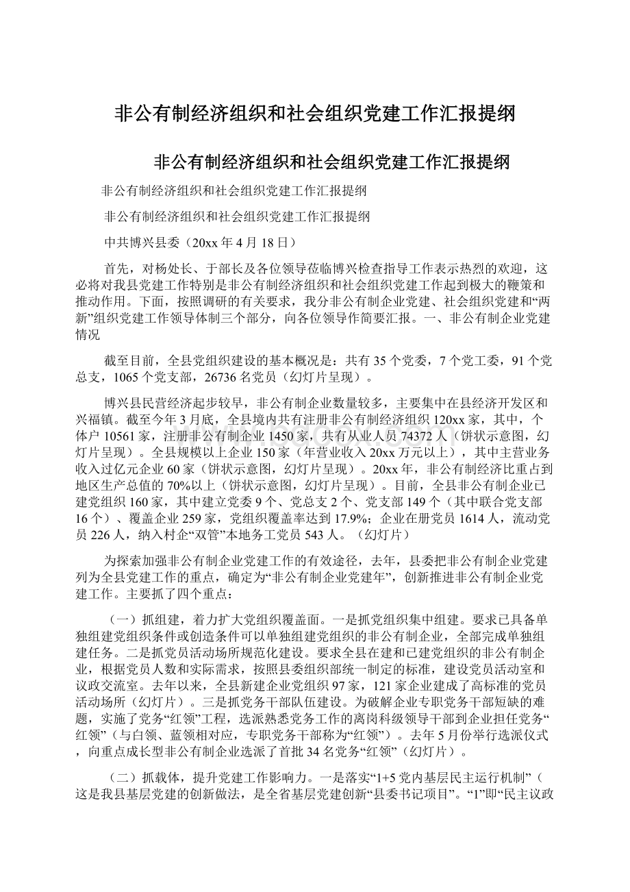 非公有制经济组织和社会组织党建工作汇报提纲.docx