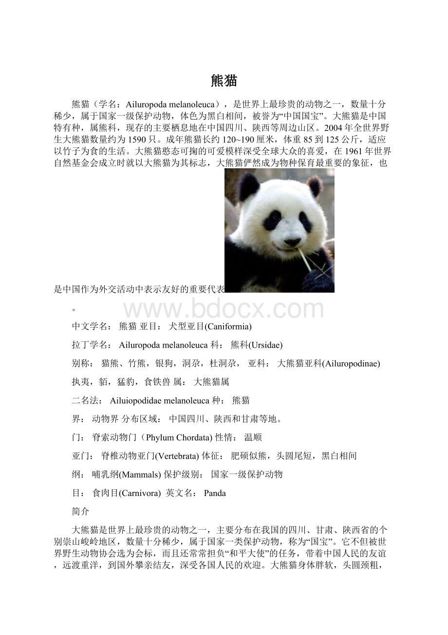 熊猫.docx_第1页