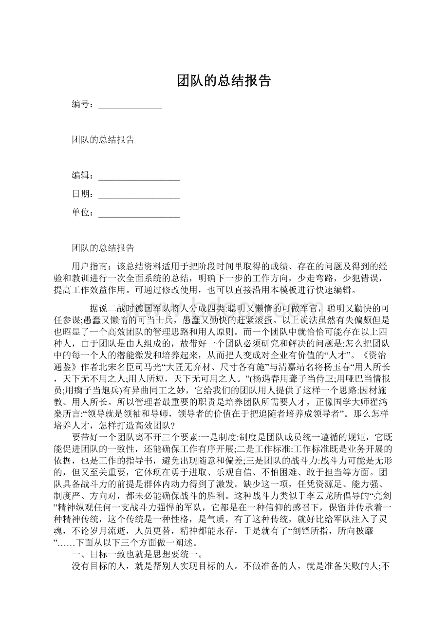 团队的总结报告.docx_第1页