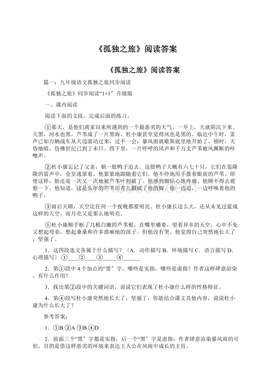 《孤独之旅》阅读答案Word文档格式.docx