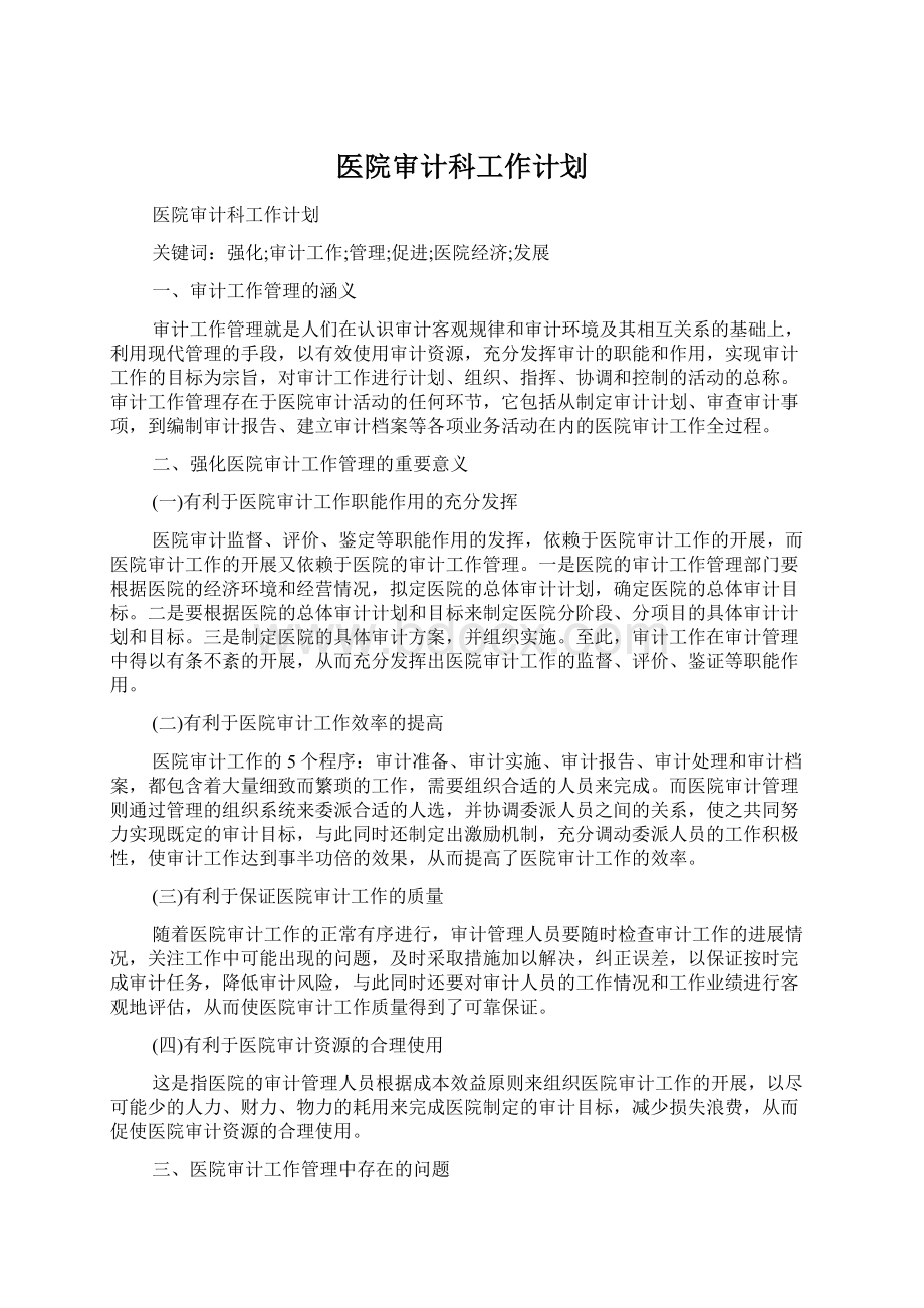 医院审计科工作计划.docx_第1页