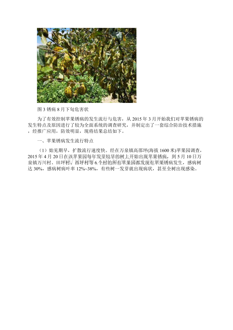 苹果锈病严重发生的原因及综合防治技术.docx_第2页