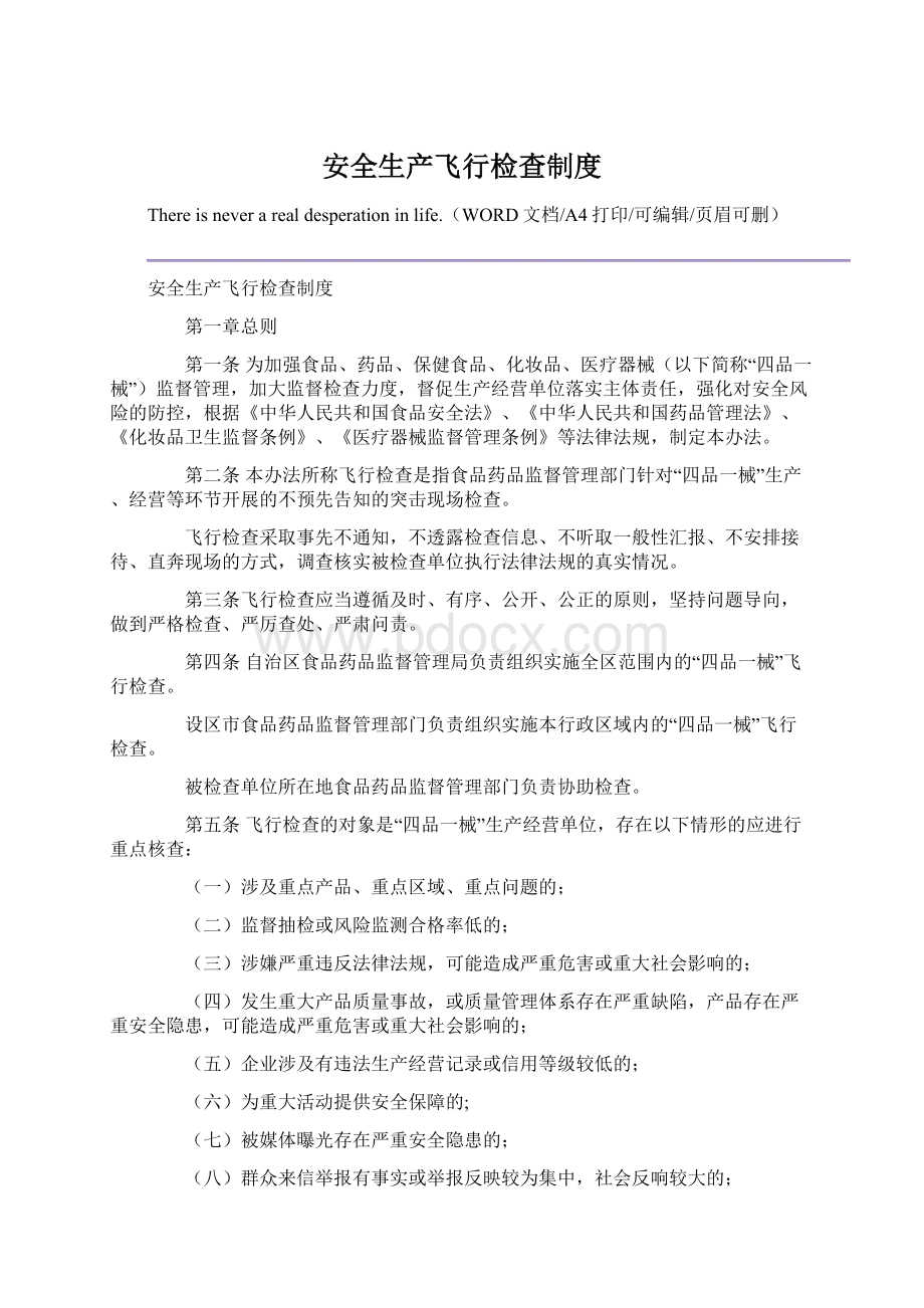 安全生产飞行检查制度Word格式文档下载.docx