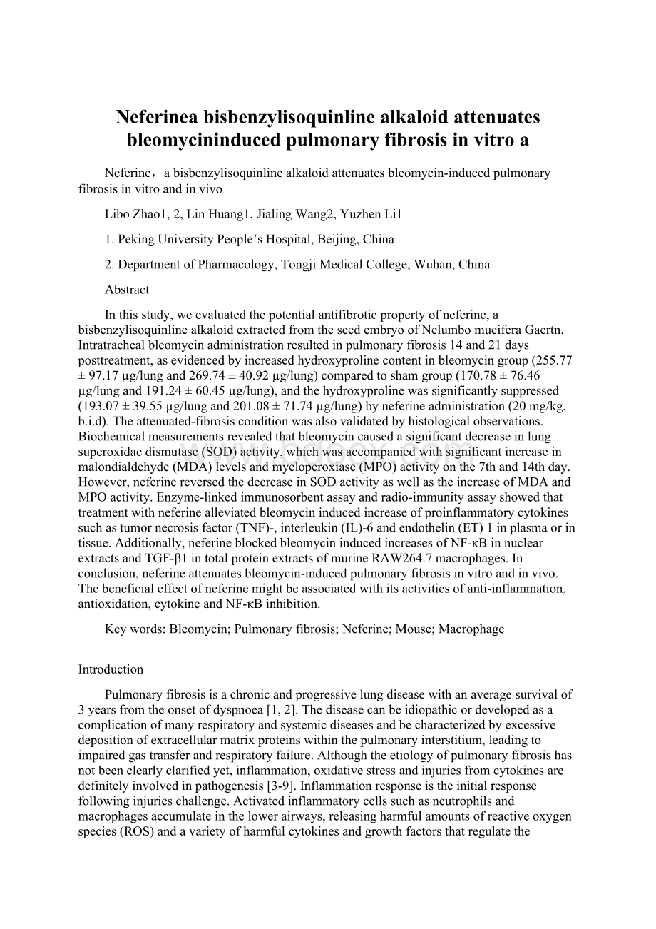 Neferinea bisbenzylisoquinline alkaloid attenuates bleomycininduced pulmonary fibrosis in vitro a.docx_第1页