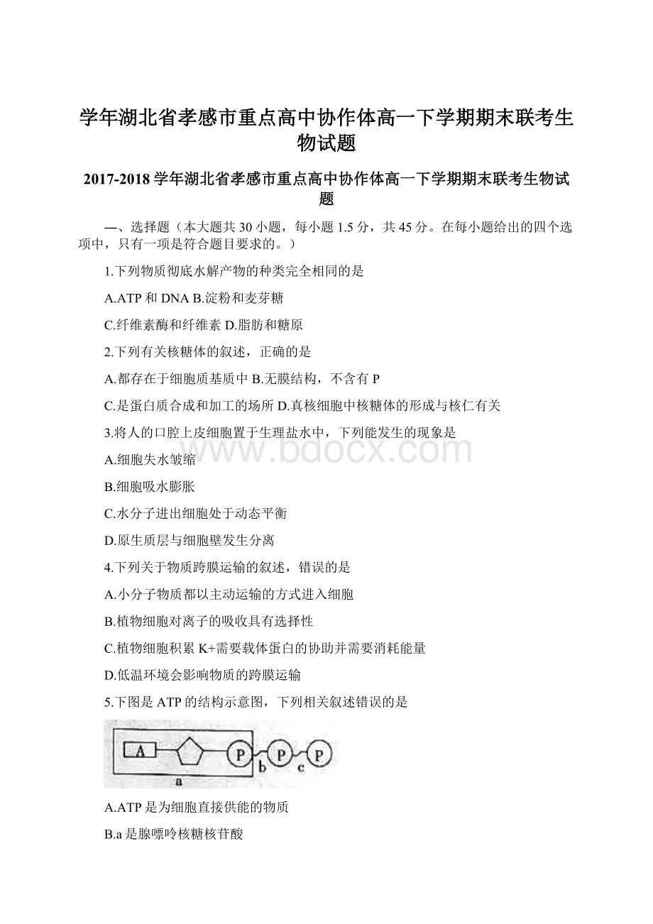 学年湖北省孝感市重点高中协作体高一下学期期末联考生物试题.docx