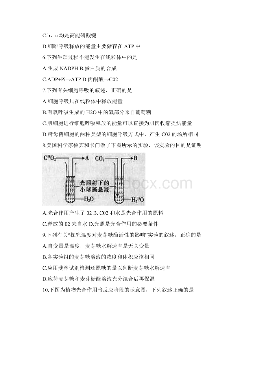 学年湖北省孝感市重点高中协作体高一下学期期末联考生物试题.docx_第2页