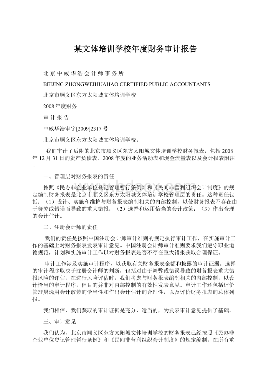 某文体培训学校年度财务审计报告.docx