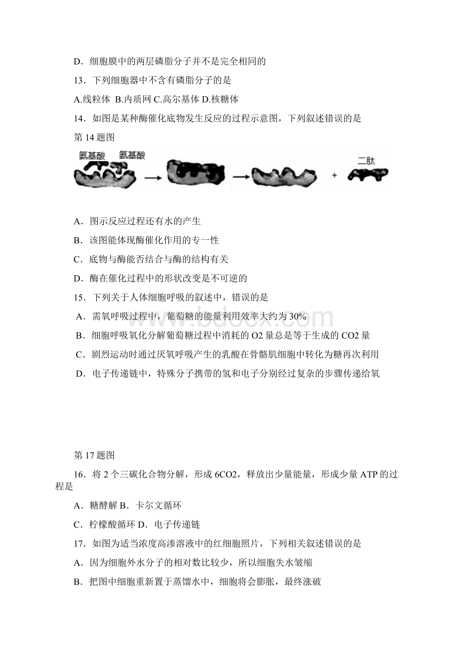 浙江省杭州市八校联盟学年高二上学期期中考试生物试题 Word版含答案.docx_第3页