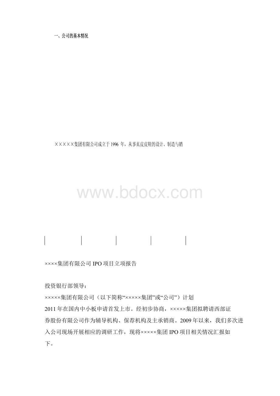 IPO立项报告模板Word文档格式.docx_第2页