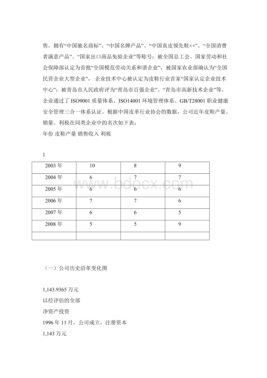 IPO立项报告模板Word文档格式.docx_第3页