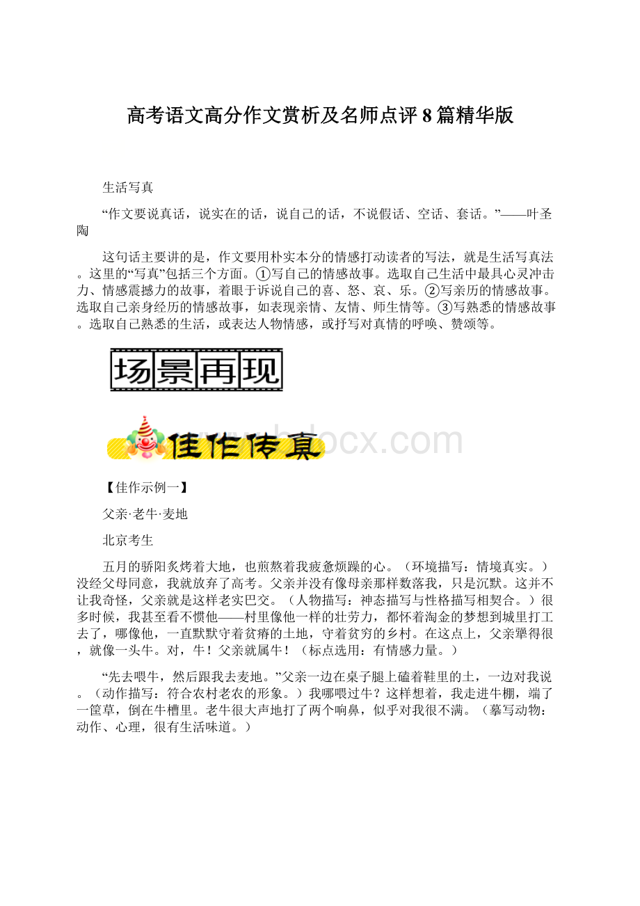 高考语文高分作文赏析及名师点评8篇精华版Word格式文档下载.docx