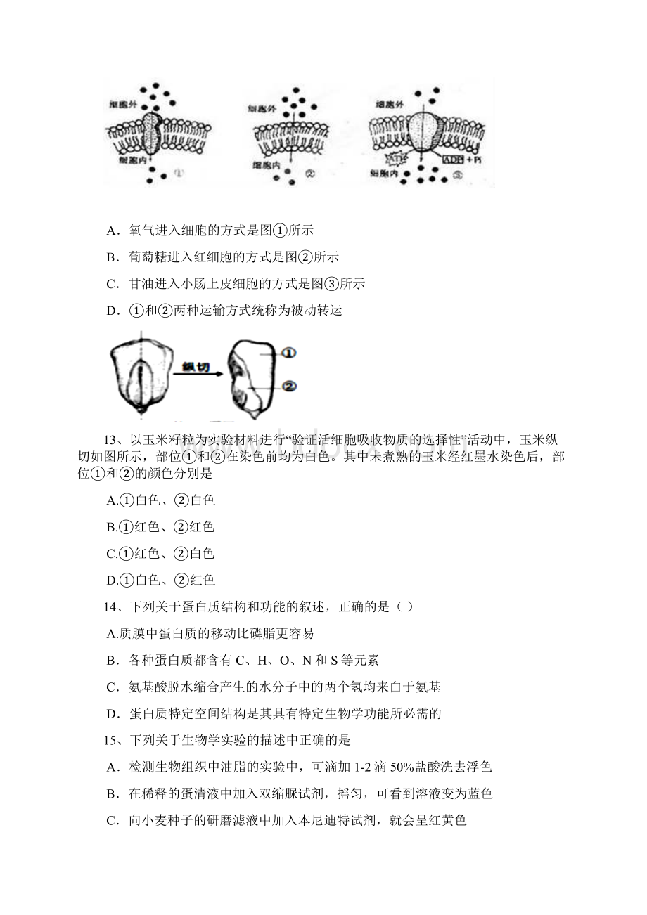 高一生物上学期期中试题11.docx_第3页