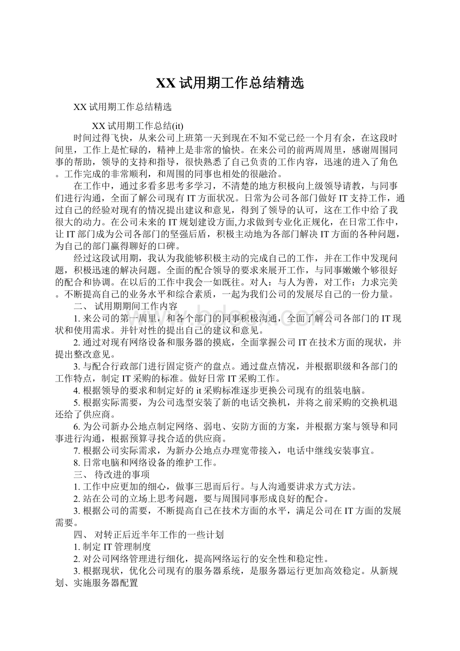 XX试用期工作总结精选文档格式.docx