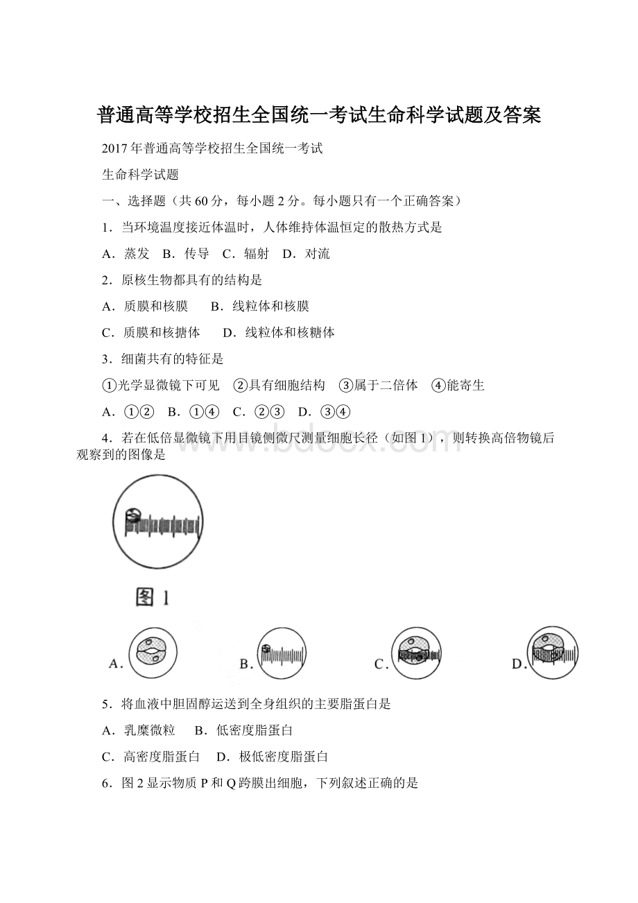 普通高等学校招生全国统一考试生命科学试题及答案.docx_第1页