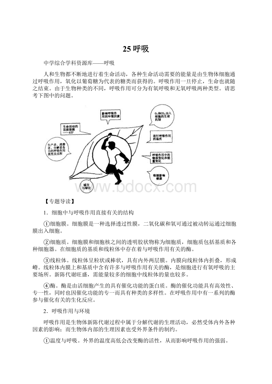 25呼吸Word文档下载推荐.docx