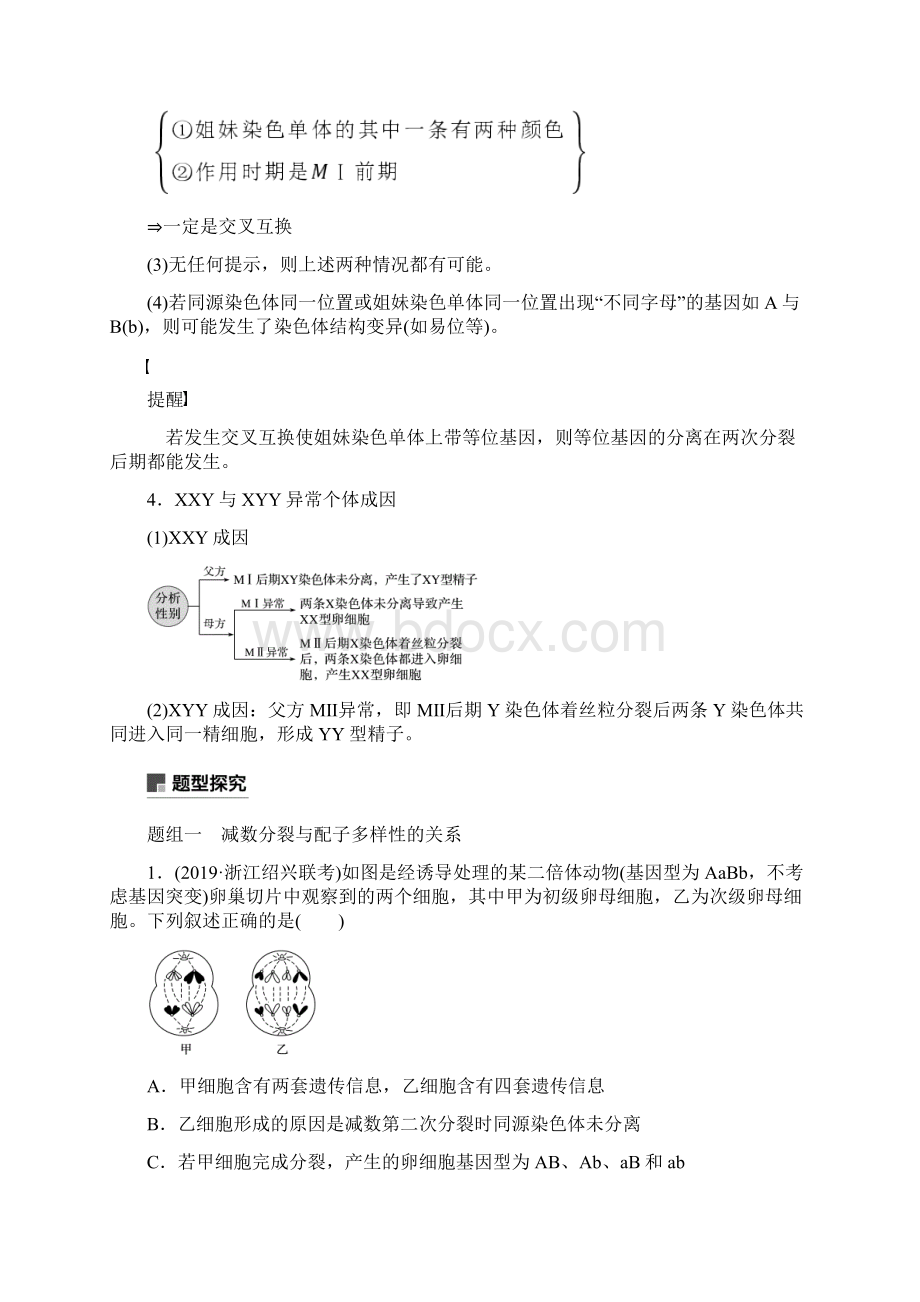 浙江专用高考生物复习细胞的分子组成结构及生命历程重要题型1细胞增殖与遗传变异的联系教案.docx_第2页