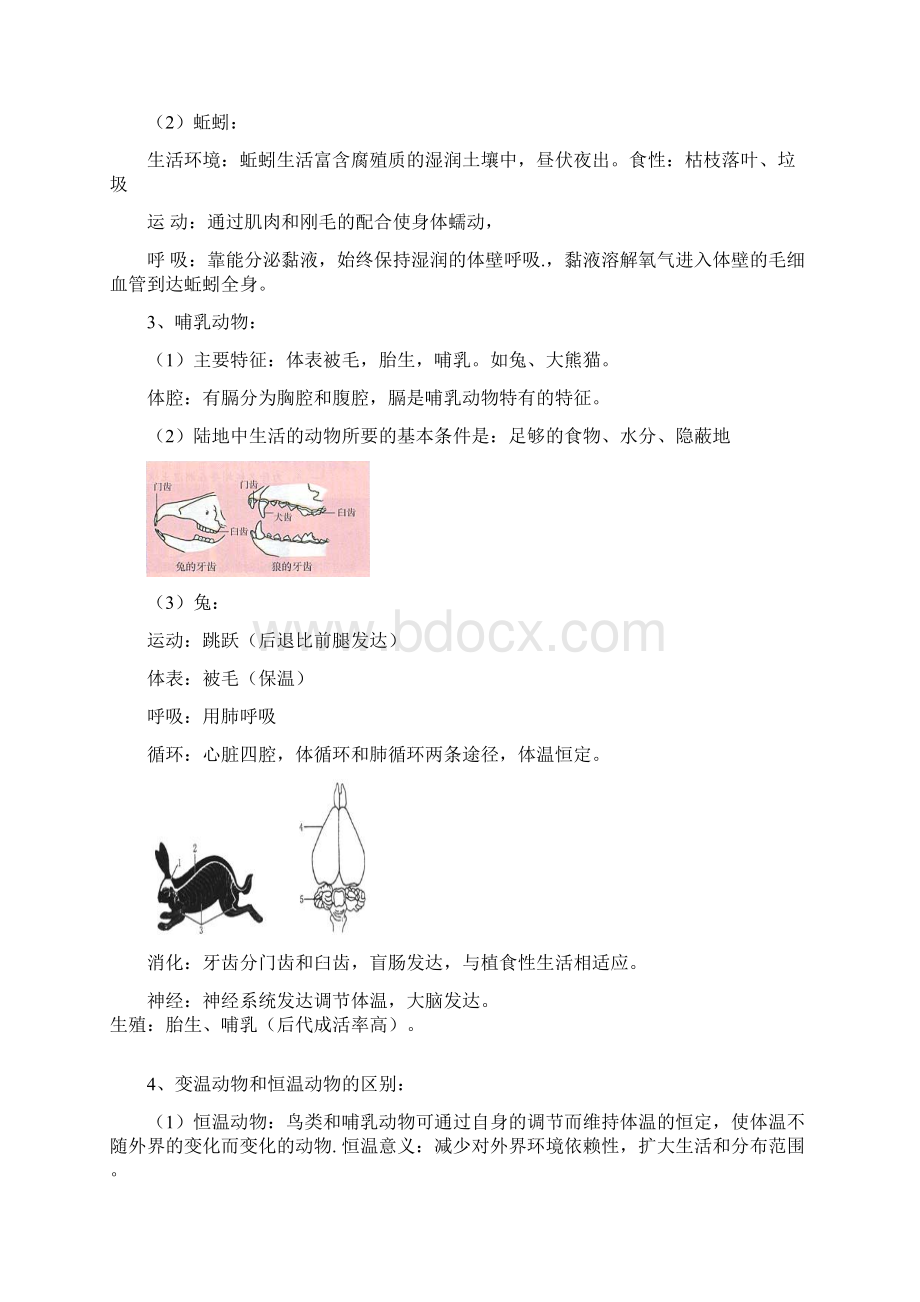 生物八年级上册 复习内容Word格式文档下载.docx_第2页