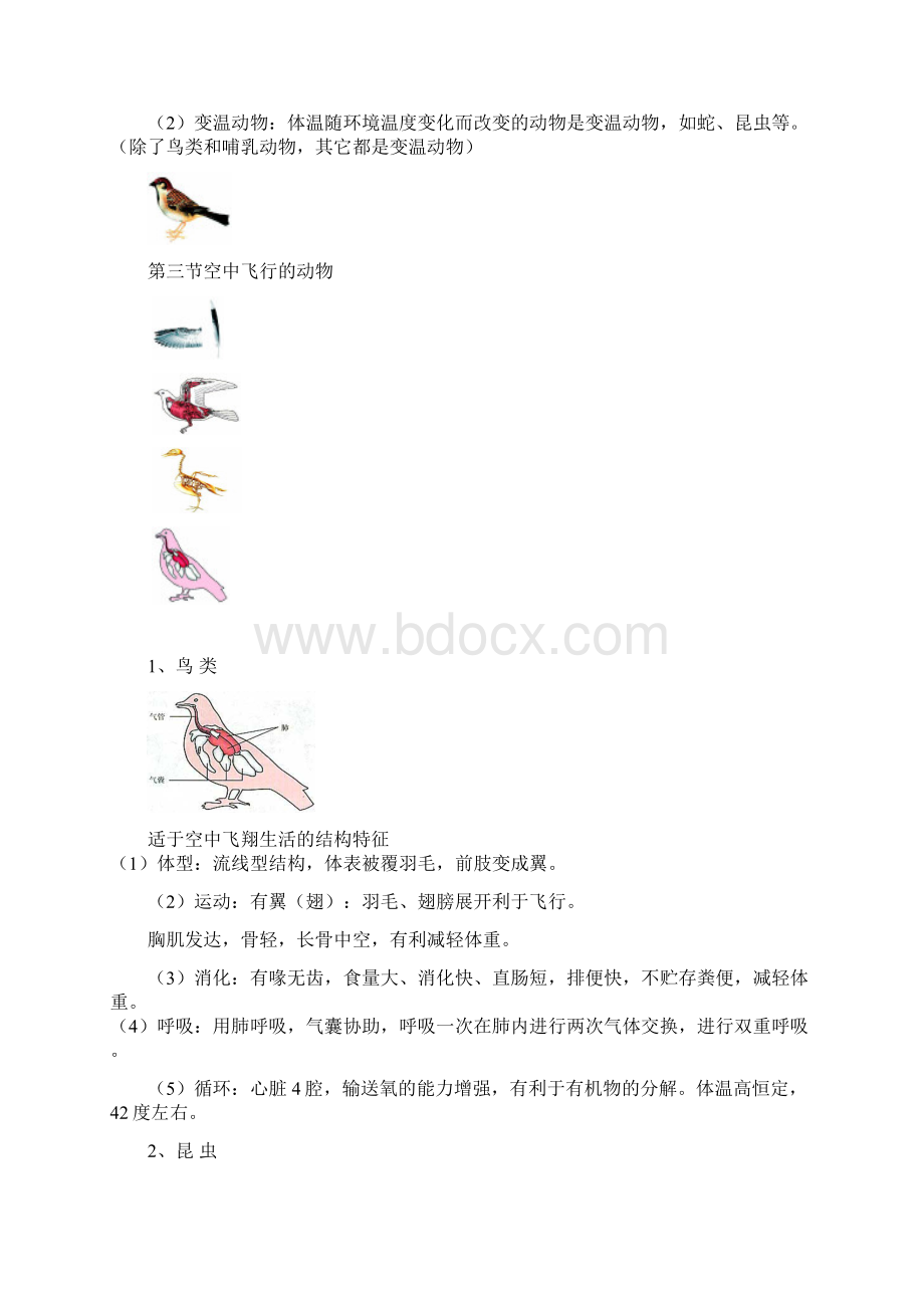 生物八年级上册 复习内容Word格式文档下载.docx_第3页