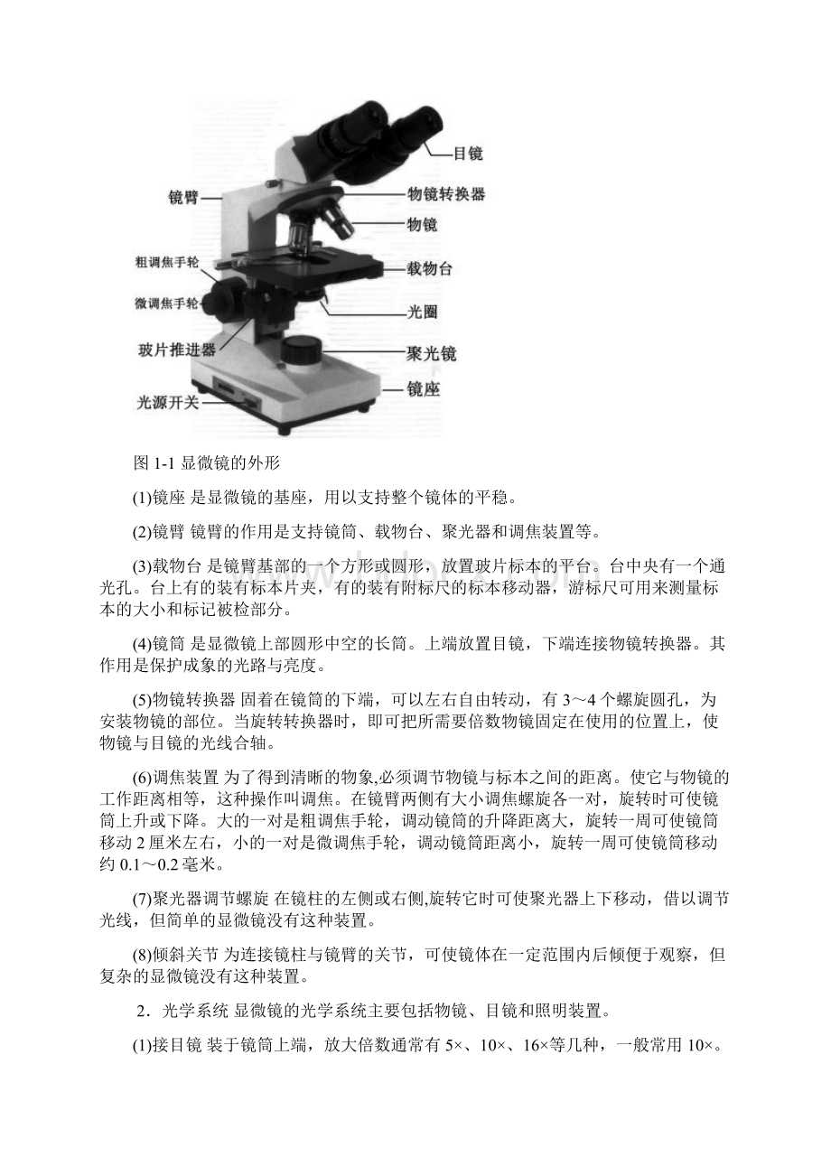 实验显微镜下的生命世界基础生物学实验安徽大学研究生复试用生物生命科学剖析Word下载.docx_第3页