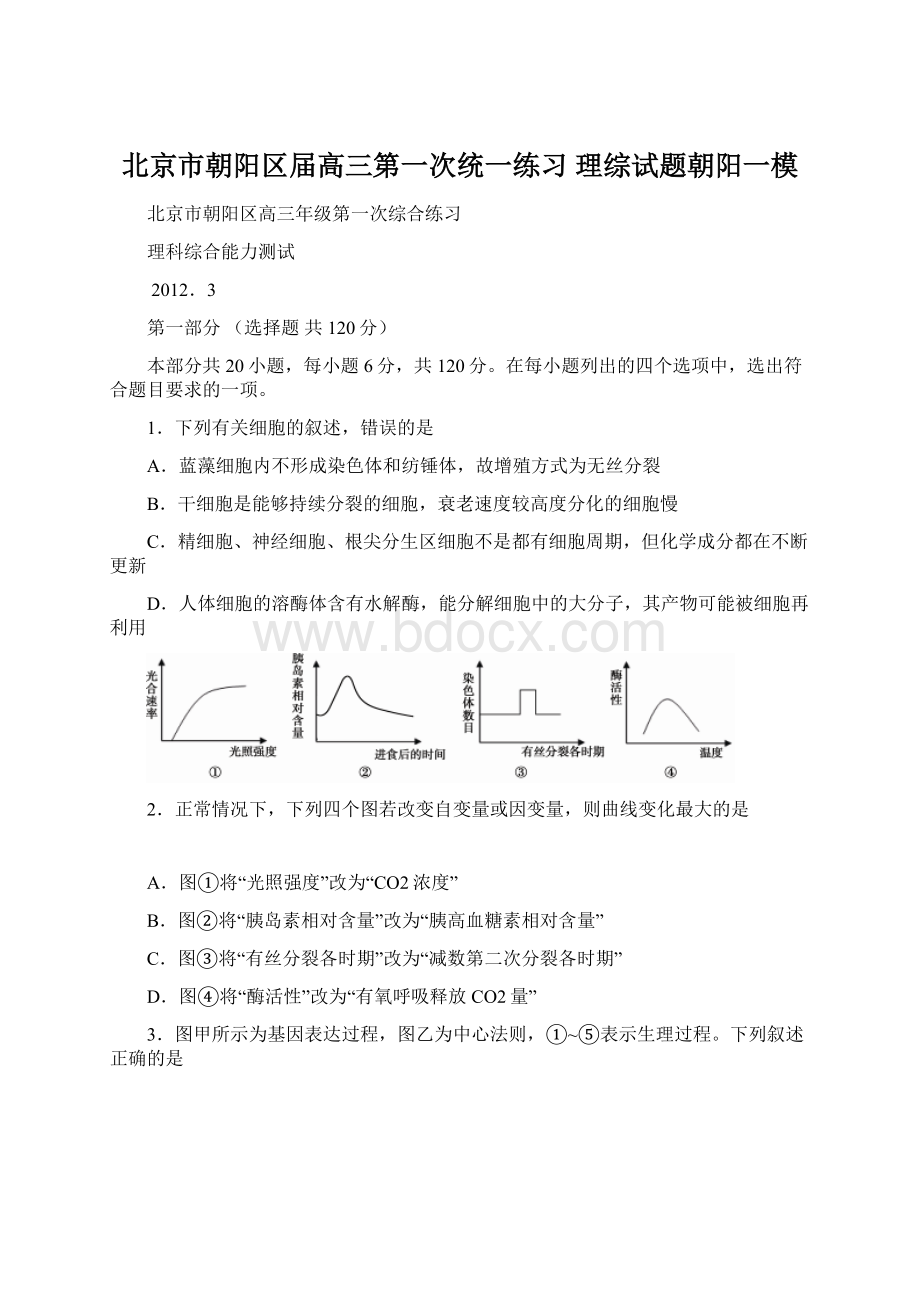 北京市朝阳区届高三第一次统一练习 理综试题朝阳一模Word文档格式.docx