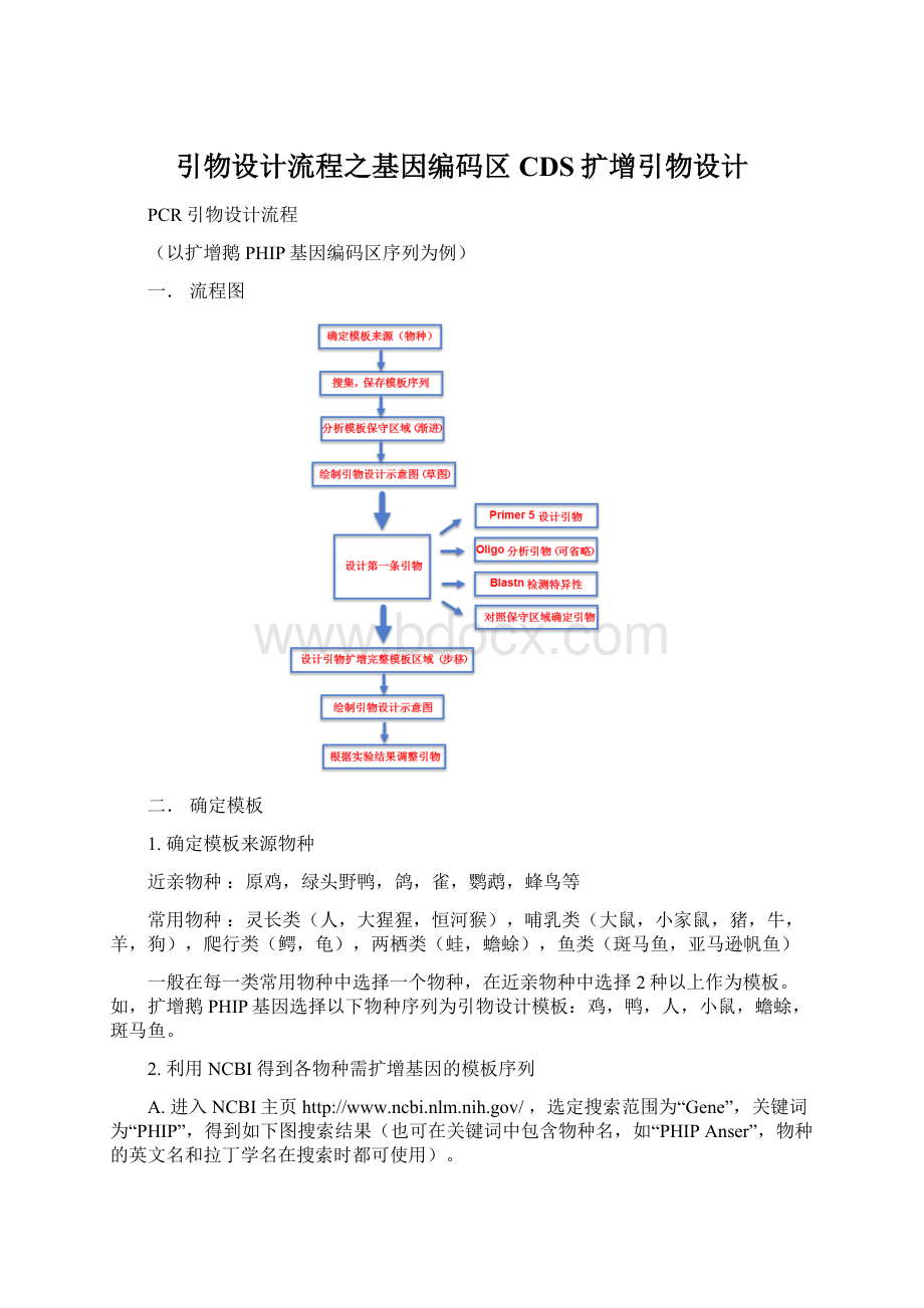 引物设计流程之基因编码区CDS扩增引物设计文档格式.docx