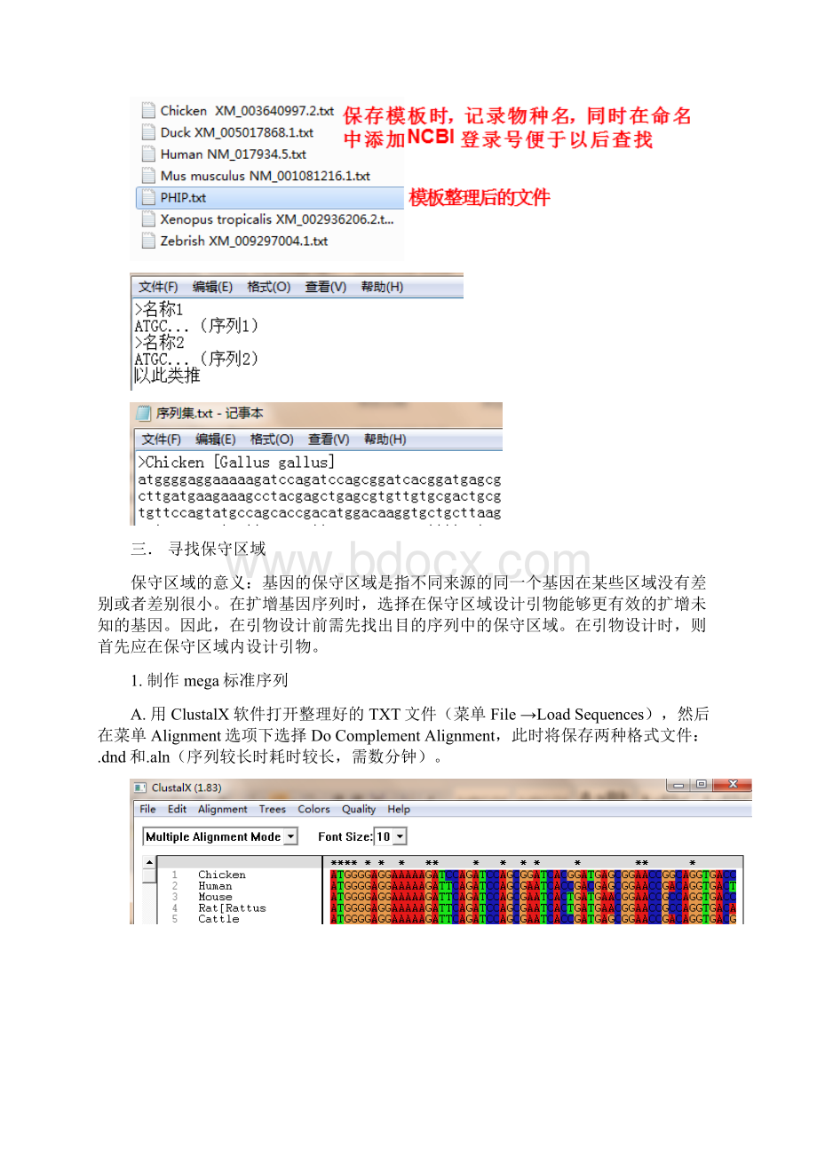 引物设计流程之基因编码区CDS扩增引物设计文档格式.docx_第3页