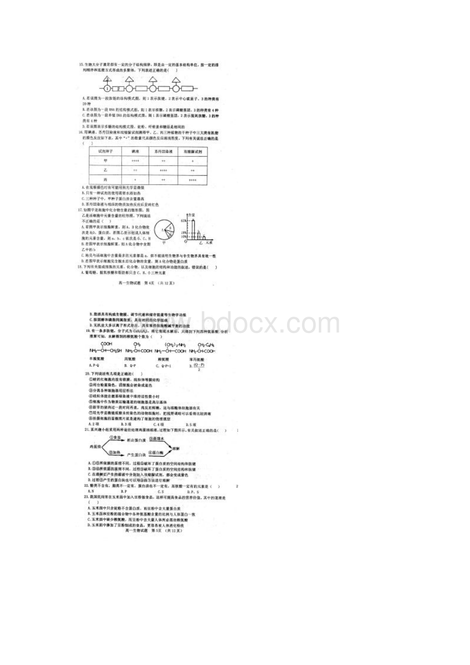 学年山东省临清市高一上学期期中联考生物试题 扫描版Word文件下载.docx_第3页