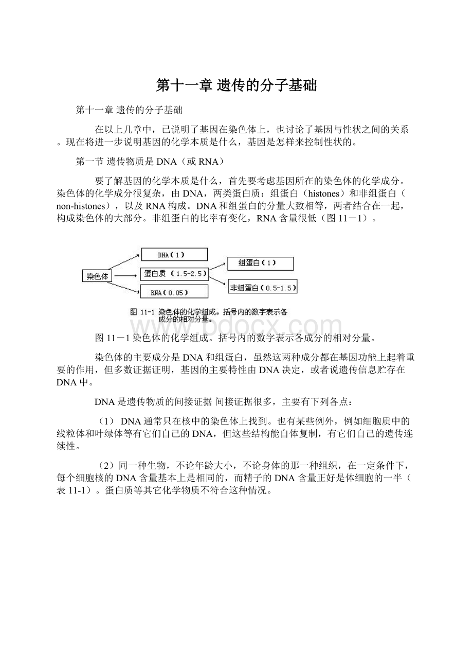 第十一章 遗传的分子基础.docx_第1页