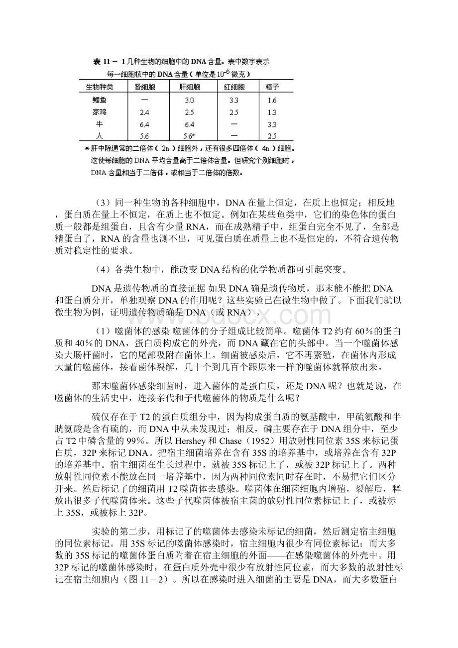 第十一章 遗传的分子基础.docx_第2页