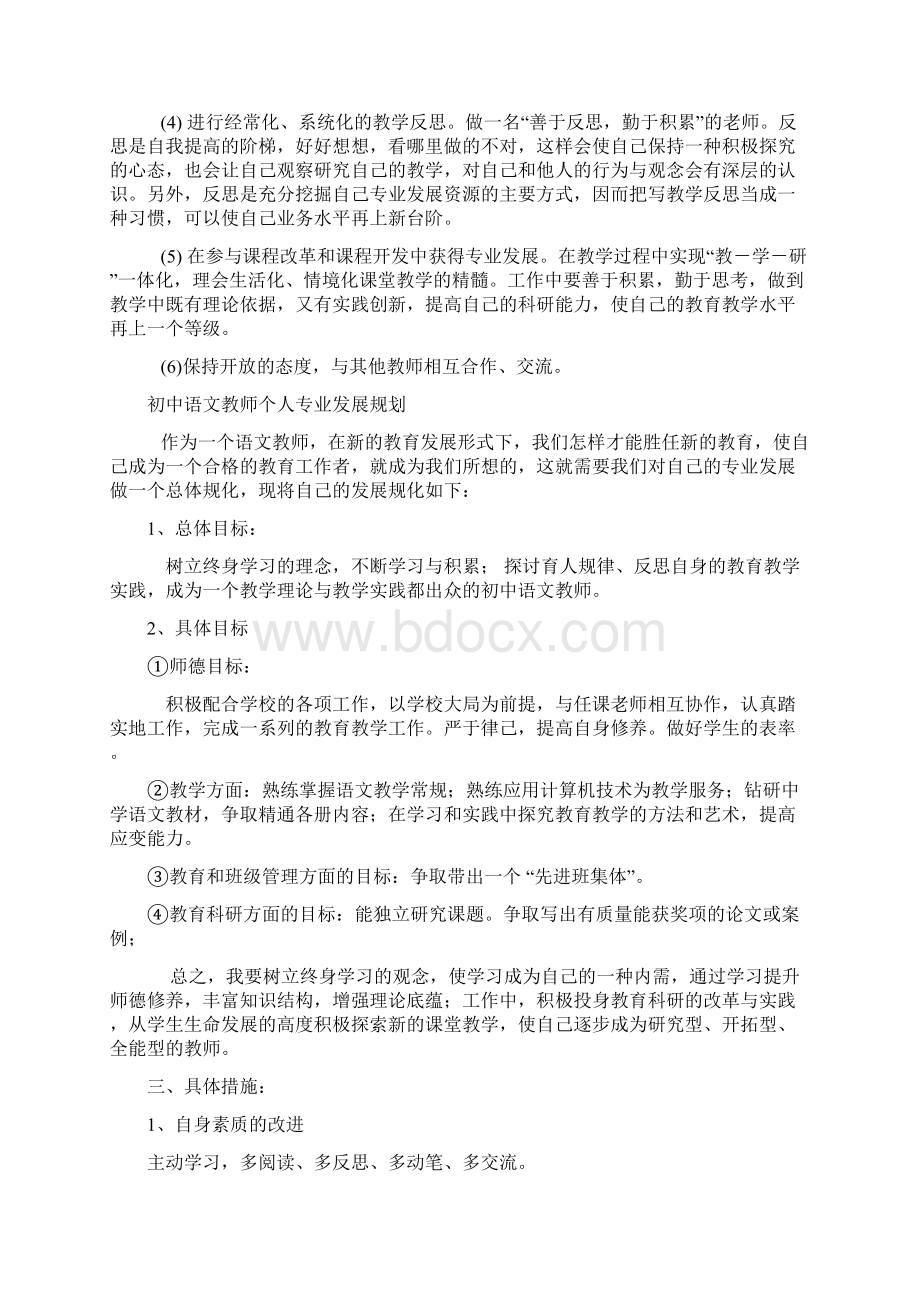 教师专业发展规划书.docx_第3页