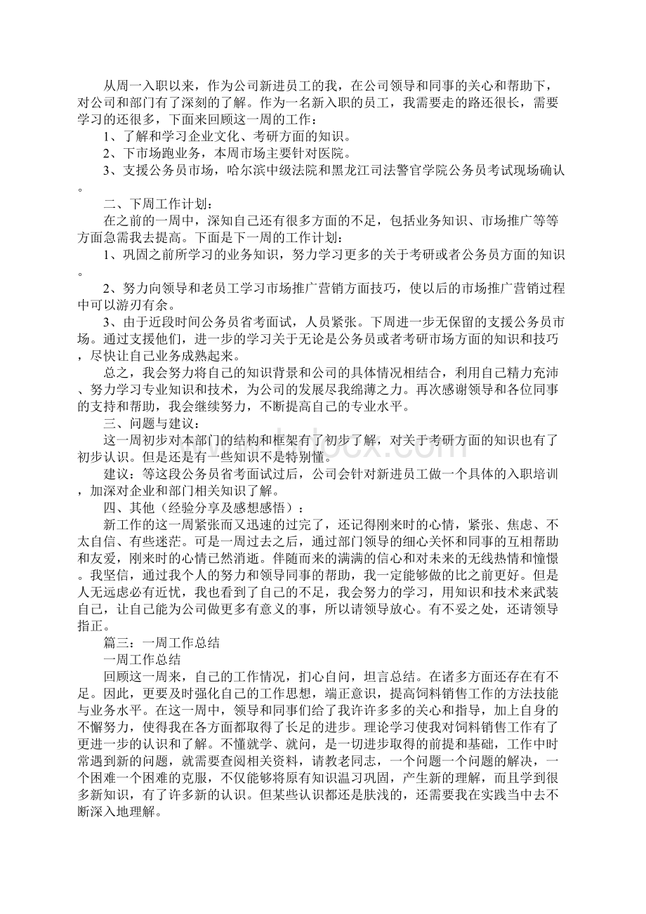 业务员一周工作总结Word文档格式.docx_第2页