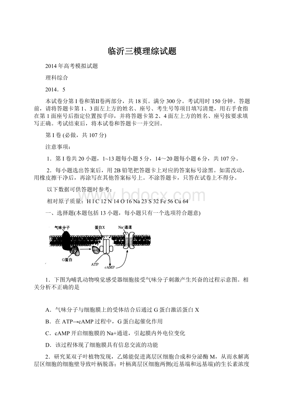 临沂三模理综试题文档格式.docx_第1页