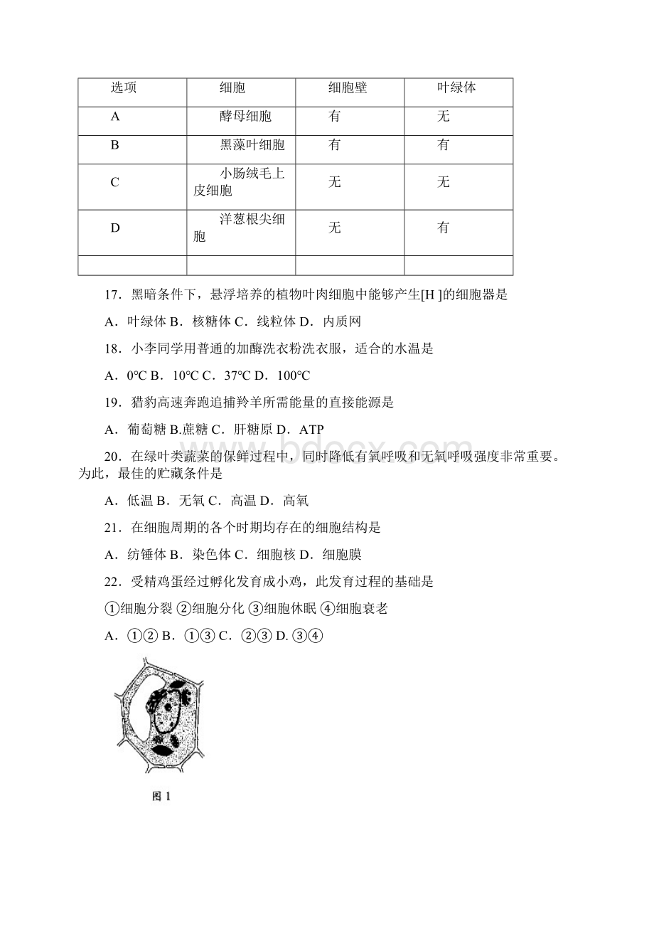 级高一生物寒假作业.docx_第3页