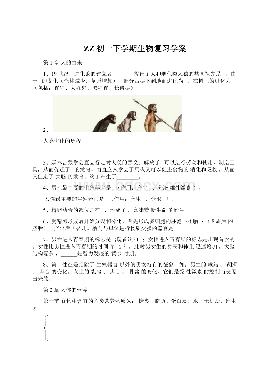 ZZ初一下学期生物复习学案.docx_第1页