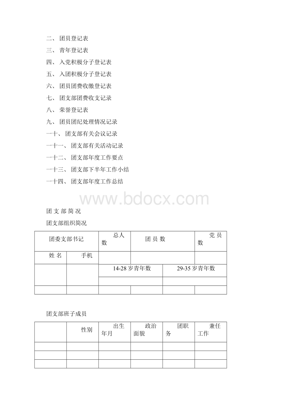 江苏大学团支部台账实用模板.docx_第2页