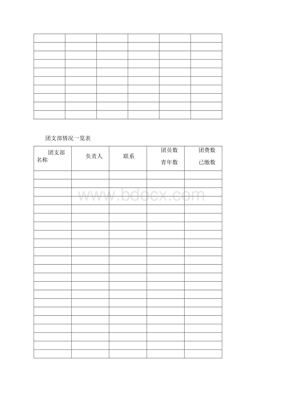 江苏大学团支部台账实用模板.docx_第3页