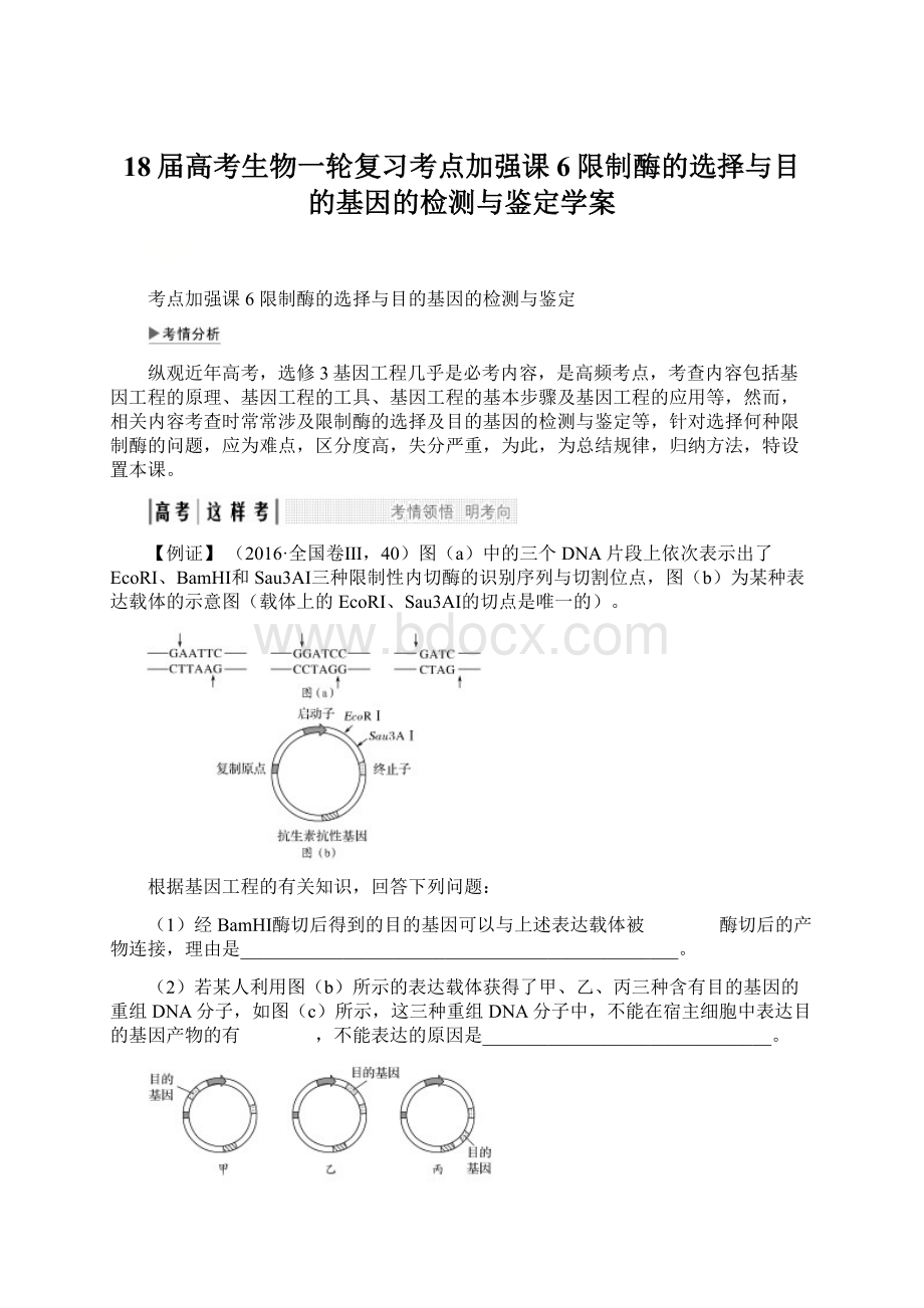 18届高考生物一轮复习考点加强课6限制酶的选择与目的基因的检测与鉴定学案Word文档下载推荐.docx